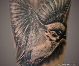 Lizard Tattoo Studio Bild 1