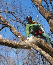 INDIGO JARDINES imagen 17