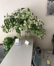 CENTRO MÉDICO PLAZA GUADARRAMA imagen 17