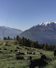 Weisshorn | Berghotel + Restaurant Bild 14