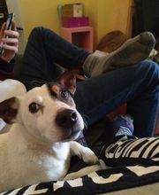 Le Monde de Sultan image 9