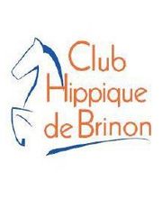 Club Hippique De Brinon Sur Sauldre image 1