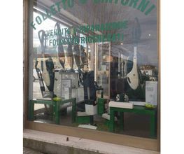 Gallery Cliente