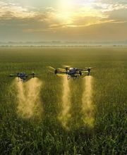 Drone Agri Tech di Alessio Guscetti Bild 4