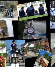 Les Ecuries Du Plessis Picard image 10