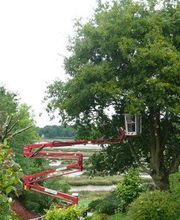 Jardin'Art image 6