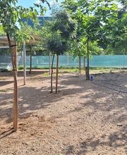 Adiestramiento Córdoba imagen 7