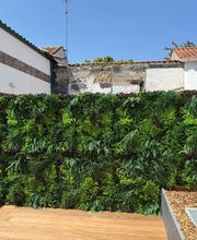 Tendances Paysage image 18