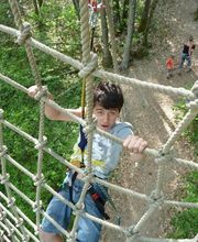 L' Appel de la Forêt image 2