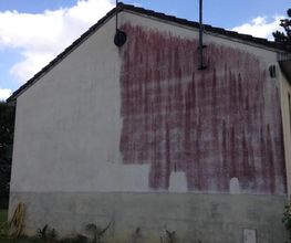 TMC image 12