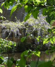 Le jardin de Saint Jean image 4