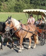 Stall Vogelsang Bild 4