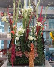 Blumen Dahlmann Bild 18