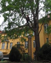 Baumpflege Fischer Bild 3