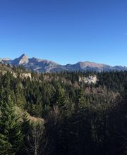 Scierie Pascal Michelar image 2