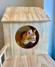 South Lake Vet image 6