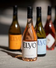 Coquillade Provence image 4