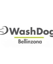 WashDog Bellinzona Bild 13