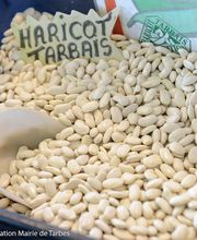 OFFICE DE TOURISME DE TARBES image 2