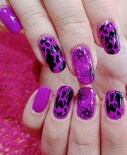 Alvina Esthétique E I image 12