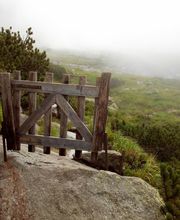 Favry-Hubert Armelle image 5