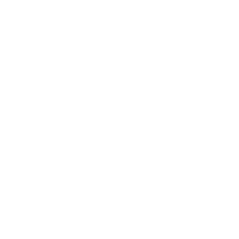 312313372-2-1OtlCCeQjJ1789545567640.png