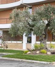B&B HOTEL Pomezia Cortese immagine 4