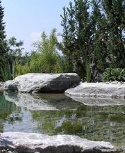 J.N. JARDINS NATURELS CHAVORNAY SA Bild 5