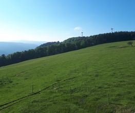 Ferienparadies Althäuslehof Bild 15