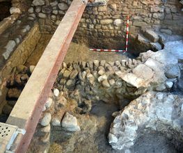 IN SITU SCP imagen 20