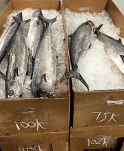 Emerald Seafood image 2