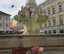 Restaurant Goldene Waage Bild 7