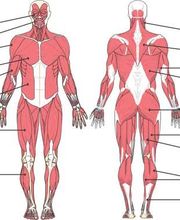 Mika Physique image 5