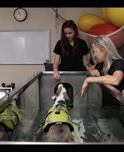 West Ridge Animal Hospital image 6