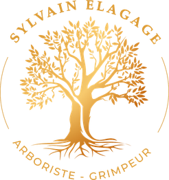 Sylvain Elagage