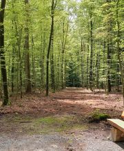 FriedWald Ostfriesland Bild 13