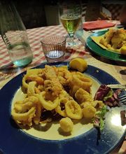 Gallery Professionale