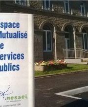 Butaye Duffay Flora image 8