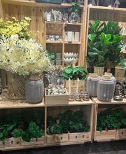 Søstrene Grene billede 1