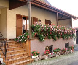 Domaine Philippe SCHAEFFER image 1