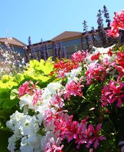 Les Terrasses De Borda image 5