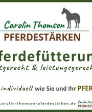 Carolin Thomsen Pferdestärken Bild 1