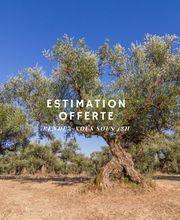 Propriétés Cote Sud image 1