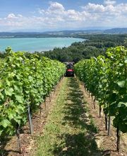 Le Domaine de Villarose Bild 2