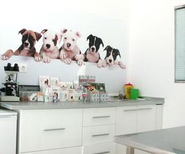 gallarza-centro-veterinario-consulta-03.jpg