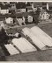 Gärtnerei Constantinescu Bild 8