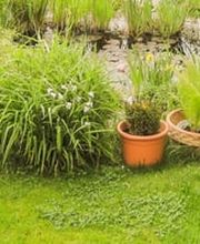 Steffen Denner Garten- u. Landschaftsbau Bild 5
