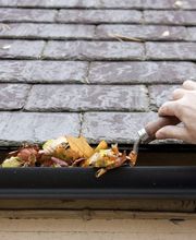 Haushelden Bremen Bild 2