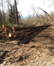 Oberti Sébastien image 9