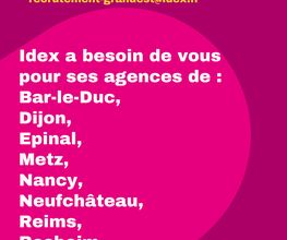 Agence Idex VOSGES - EPINAL image 4